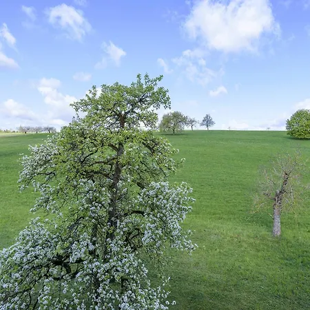 Mit Gartenblick K1 201 * Spalt